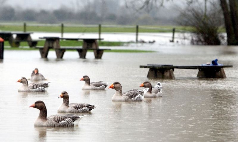 Затопленная Великобритания (18 фото)