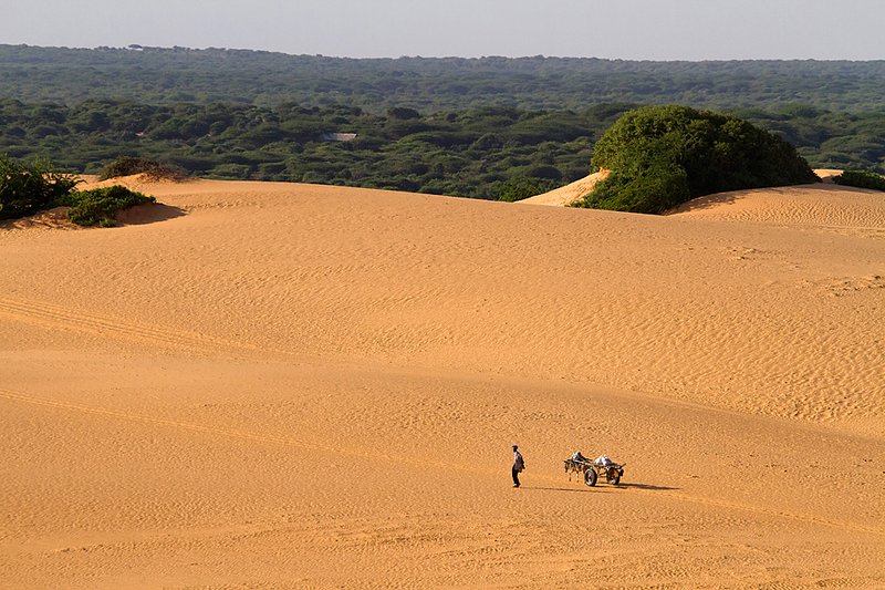 Человек с повозкой, запряженной ослами, идет через дюны недалеко от миссии Африканского союза в Могадишо, Сомали. Президент страны обратился к международному сообществу с призывом поддержать его временное правительство в борьбе с боевиками.