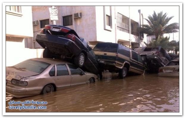 Последствие наводнения (35 фото)
