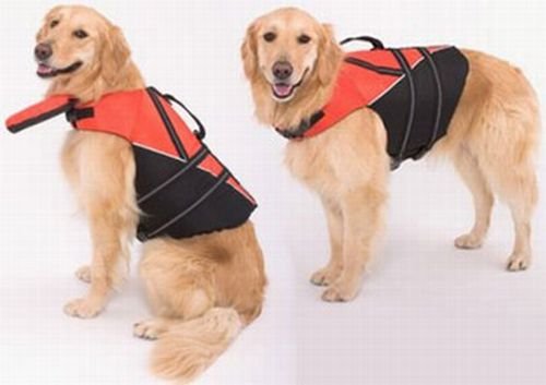Спасательный жилет для собак