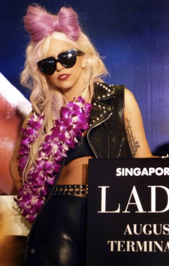 Стили Lady Gaga (23 фото)