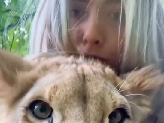 Смотреть онлайн