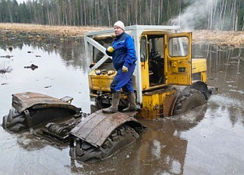 Смотреть онлайн