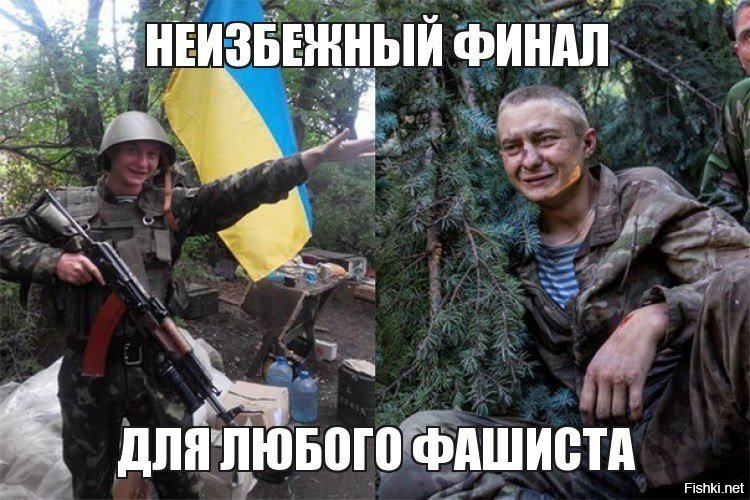 Укропы дебилы картинки