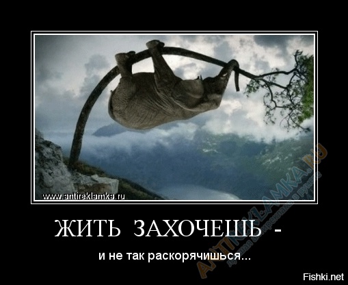 Жить Захочешь И Не Так Раскорячишься