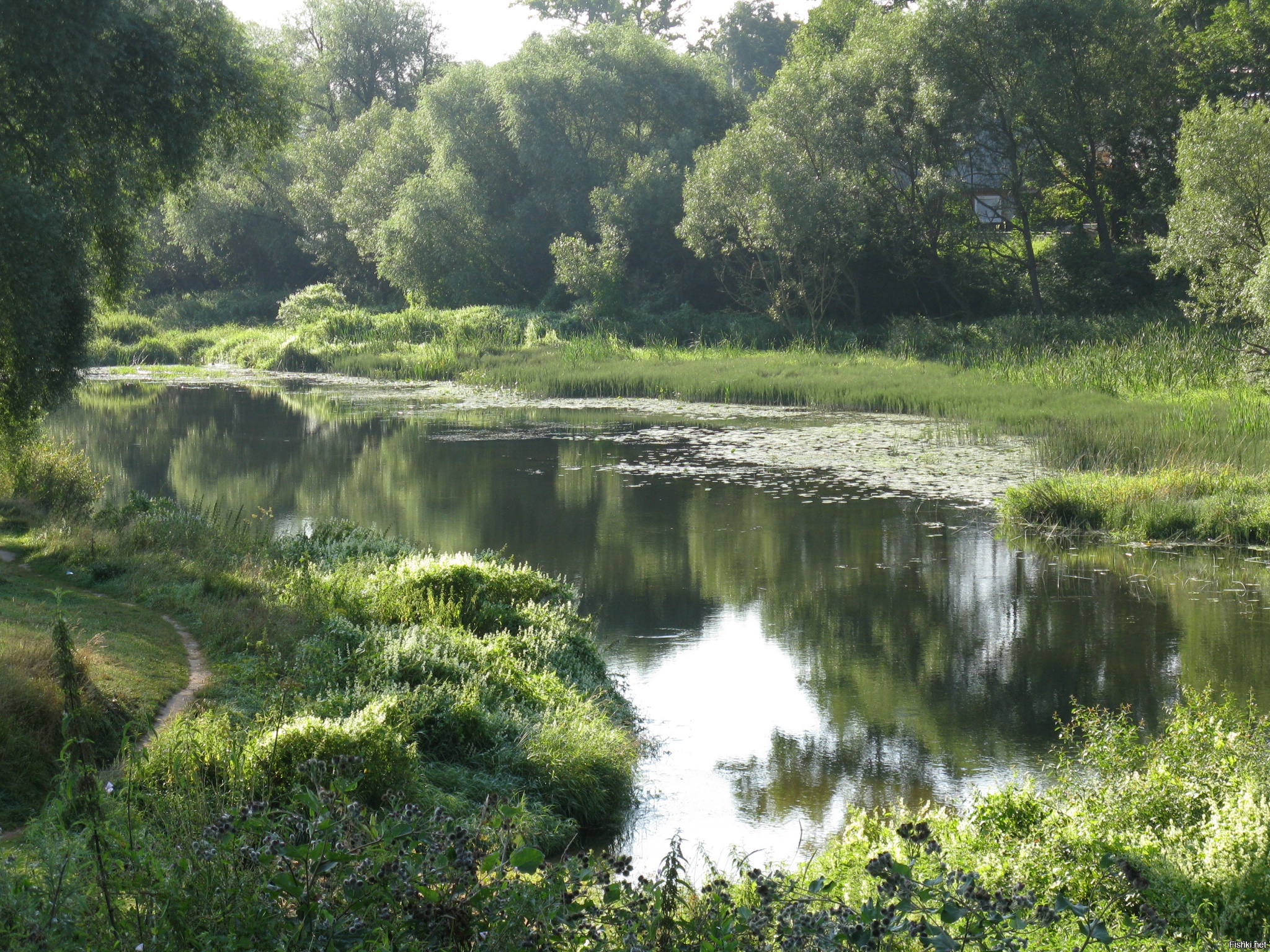 Река ворона старые
