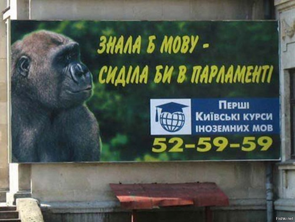 https://fishki.net/upload/users/2015/12/10/821899/9dbf58727a65d24a9a7fed708c2abad4.jpg https://fishki.net/upload/users/2015/12/10/821899/9dbf58727a65d24a9a7fed708c2abad4.jpg