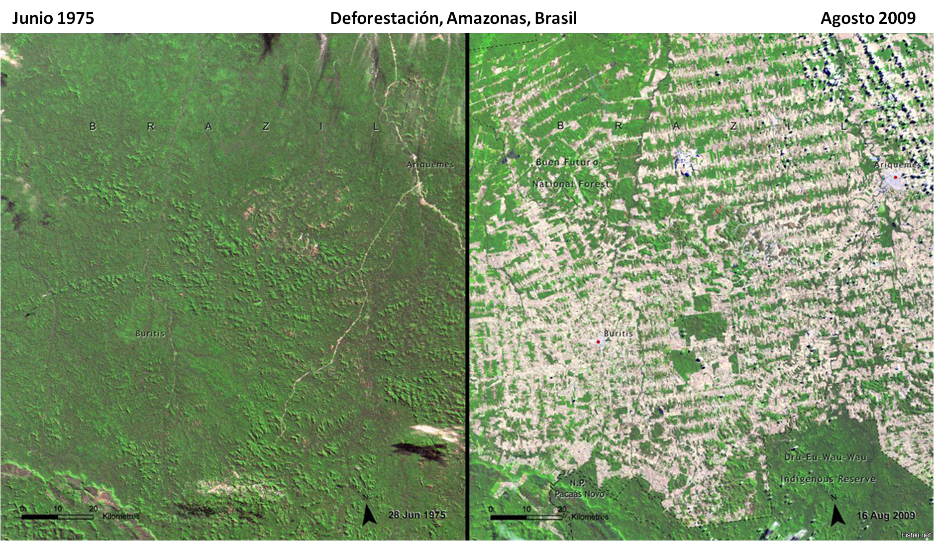 Чем карта отличается от космоснимка