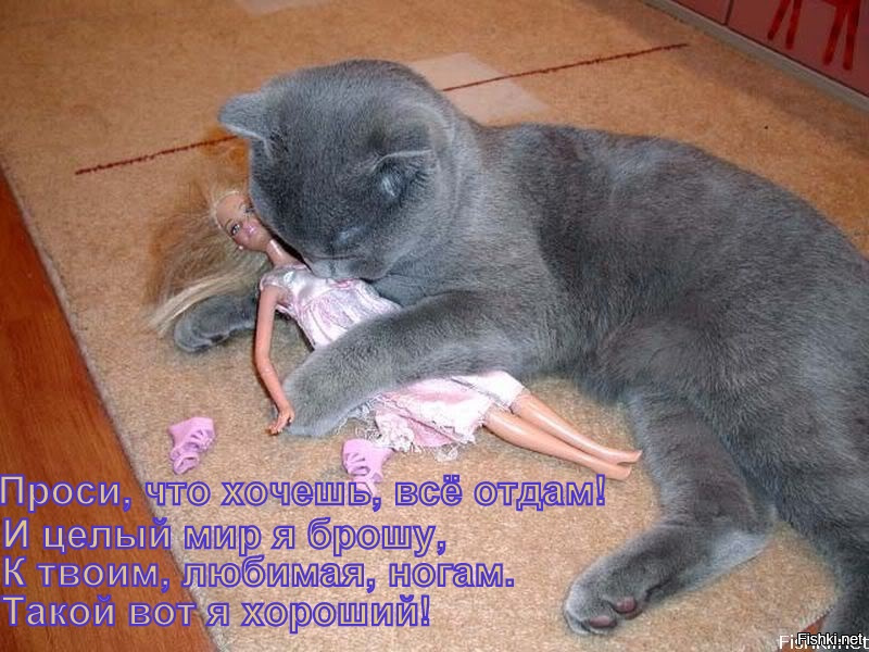 Озабоченный хозяин. Похабные фото. Озабоченность юмор. Неприличные картинки. Мой хозяин идиот фото.