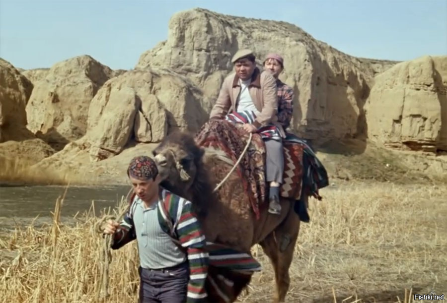 верблюд в профиль. одногорбый верблюд. косой верблюд. косой верблюд. верблюд.