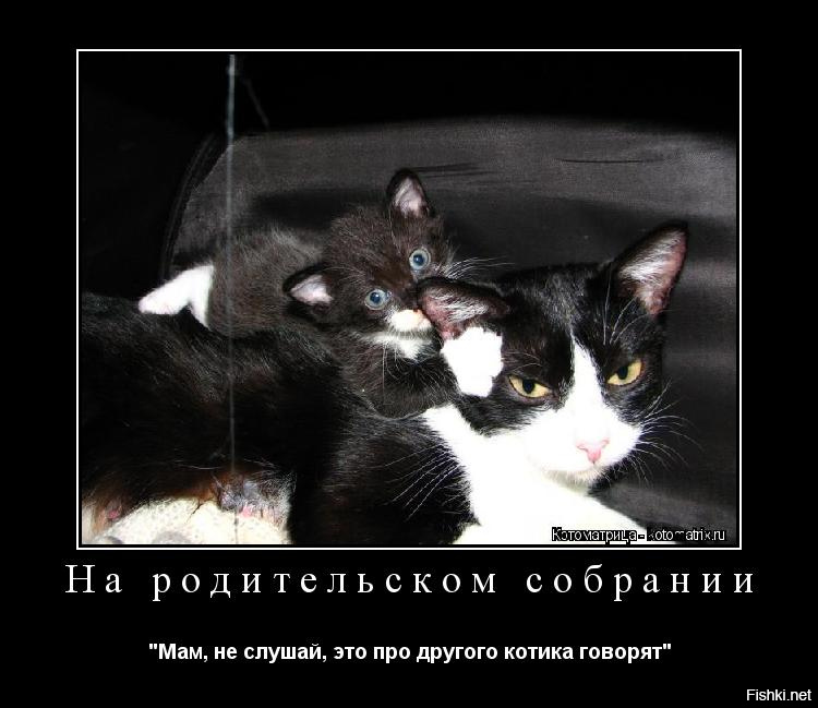 После родительского собрания картинки