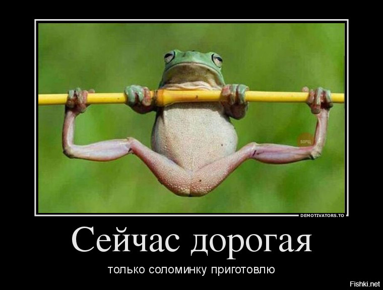 Алкаши на турниках
