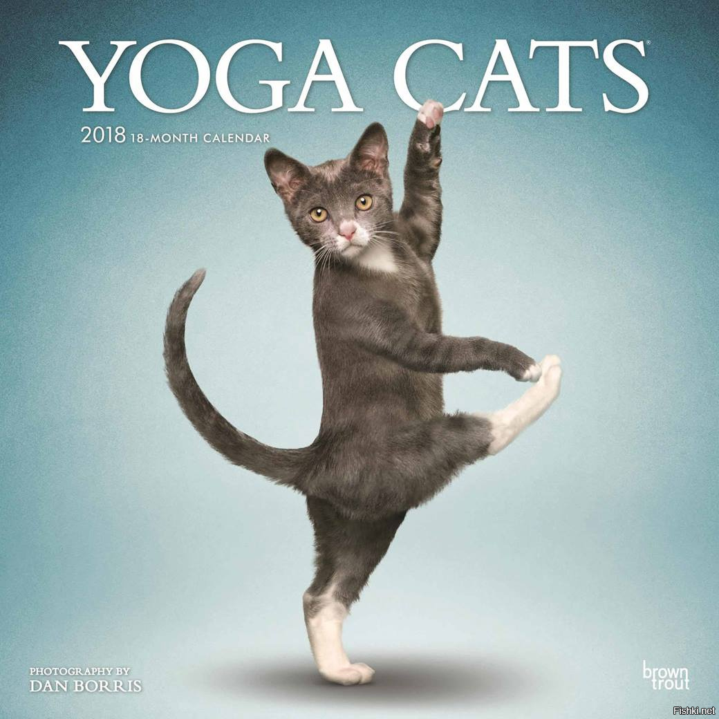 Календарь кошки йоги