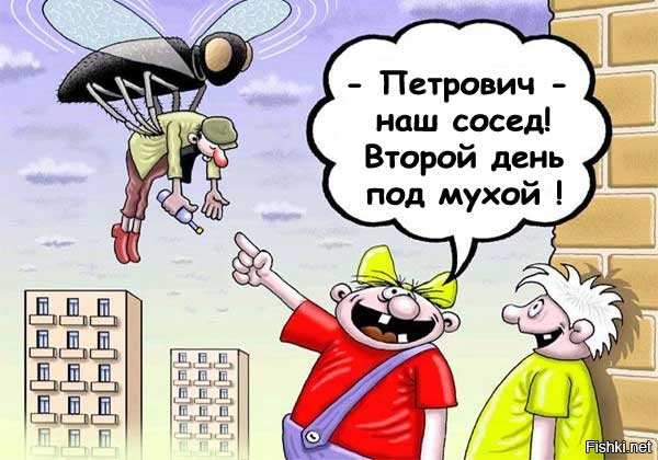 Муха под мухой слушать. Сосед под мухой. Рюмка под мухой. Под мухой бар. Космонавт под мухой