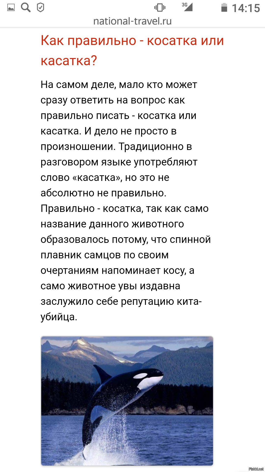 как пишется касатка