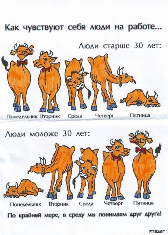 Картинки про рабочую неделю, ромашки