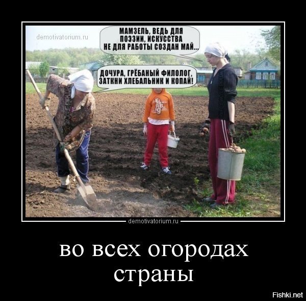 Гифки мультяшки, прикольные картинки с надпесью огород садим