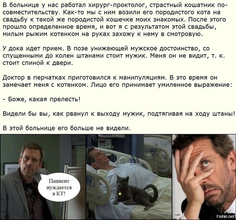 Давай смешную историю. Прикольные истории из жизни. Смешные истории из жизни людей. Весёлые истории из жизни. Веселые смешные истории.