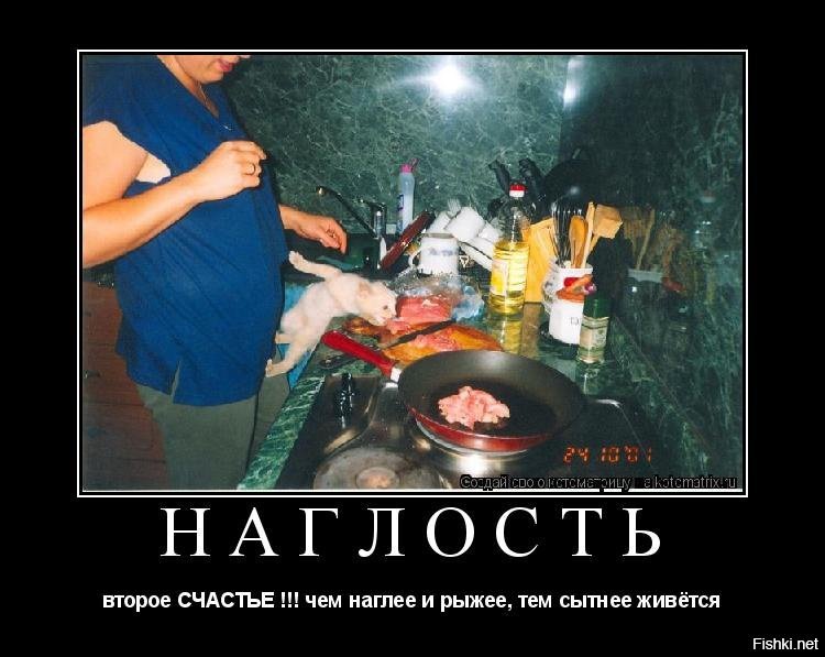 Наглость Второе Счастье Картинки