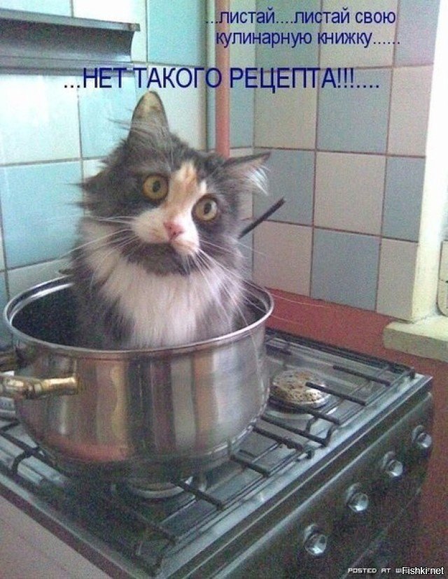 Нет такого то