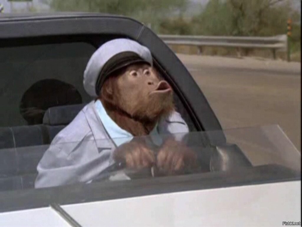 Monkey driving. Обезьяна за рулем. Обезьянк за рулем машины. Обезьяна в машине. Шимпанзе за рулем.