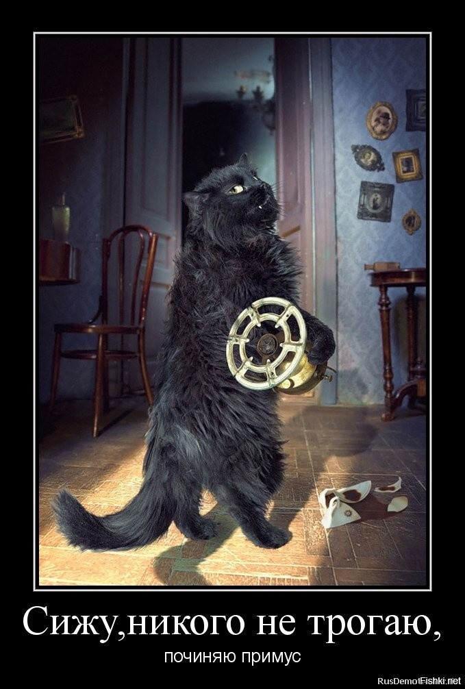 Никого не трогаю починяю примус. Кот починяет примус. Сижу примус. А мы тут примус починяем. Сижу починяю примус никого.