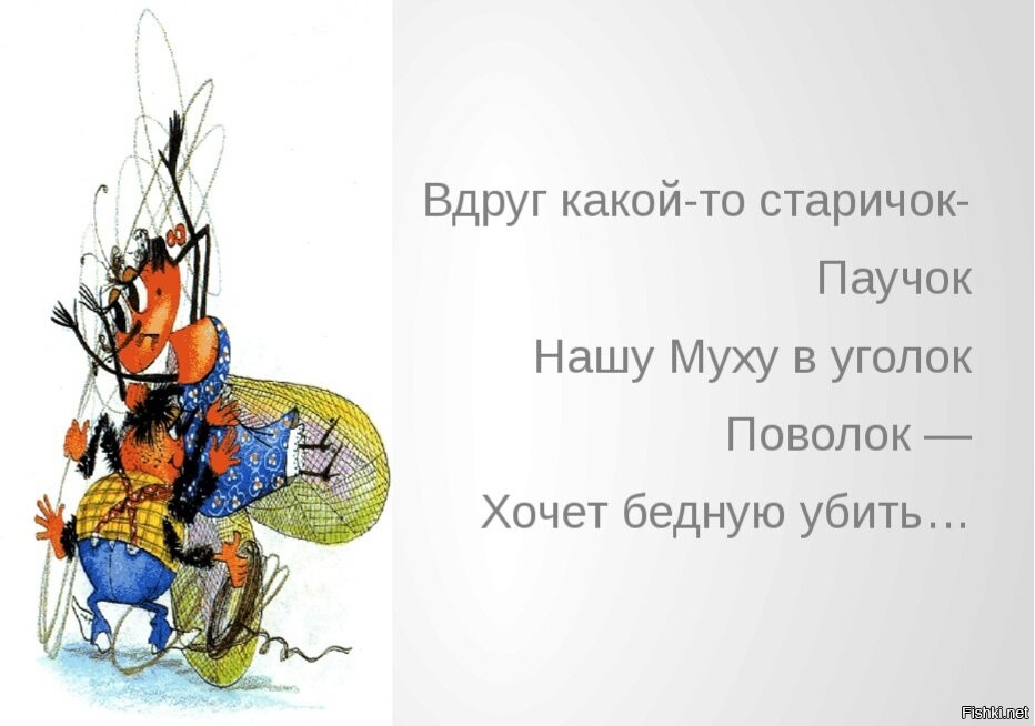 вдруг какой вид. паучок старичок нашу муху. вдруг какой вид. вдруг паучок старичок нашу муху. вдруг какой-то старичок паучок нашу муху в уголок поволок.