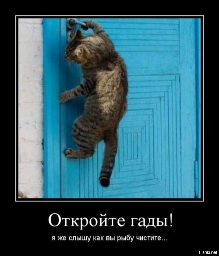 Стой стой стой. Стой. Месть смешные картинки. Стой гад. Ушёл гад.