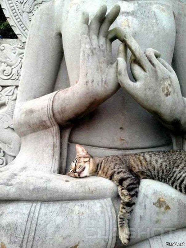 Кот и статуя