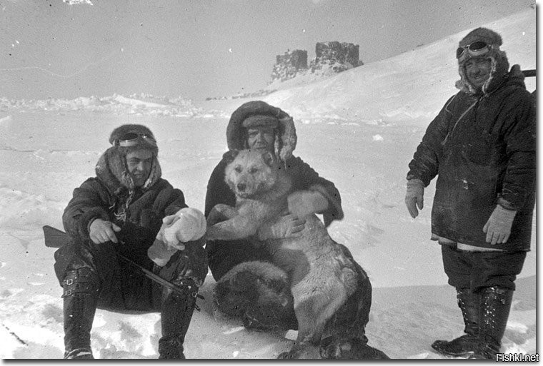 Наша экспедиция задуманная еще зимой носила научный. Экспедиция Северный полюс 1 Папанин. Экспедиция Папанина на Северный полюс.