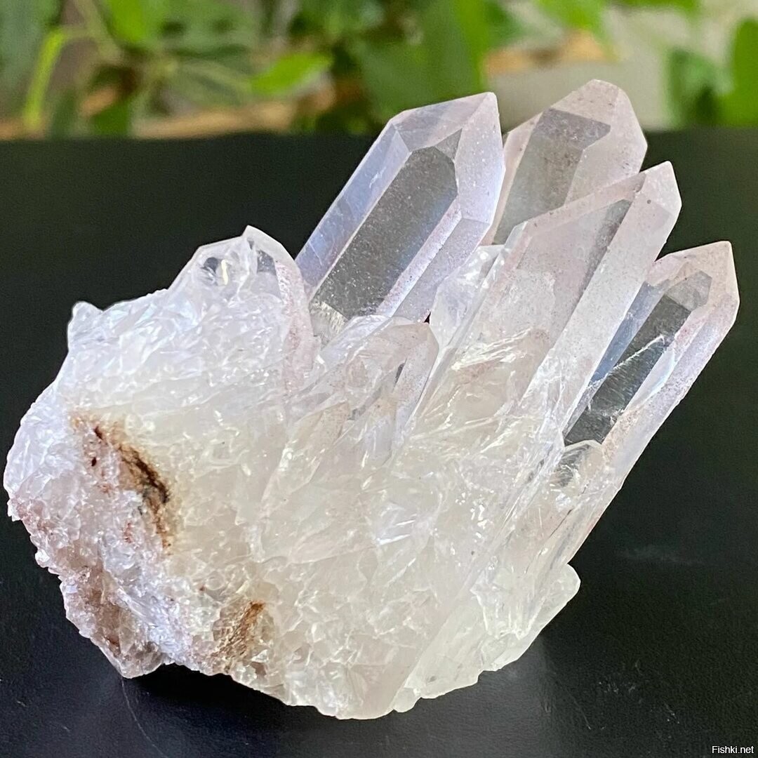 горный хрусталь камень необработанный. друза необработанного горного хрусталя. друза пирит горный хрусталь. друзы кристаллов горного хрусталя. друза горного хрусталя склеянная.