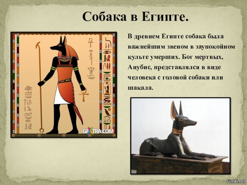 Египетский Бог С Лицом Собаки