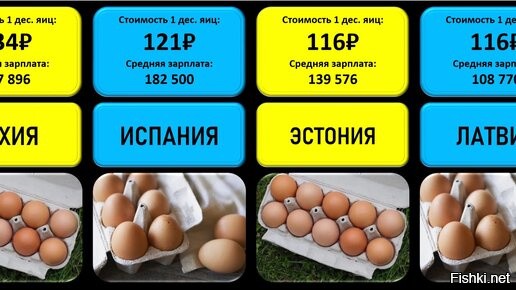 Цены на яйца в странах. Десяток яиц. Стоимость 10 яиц. Стоимость десятка яиц. Сколько стоит десяток яиц.