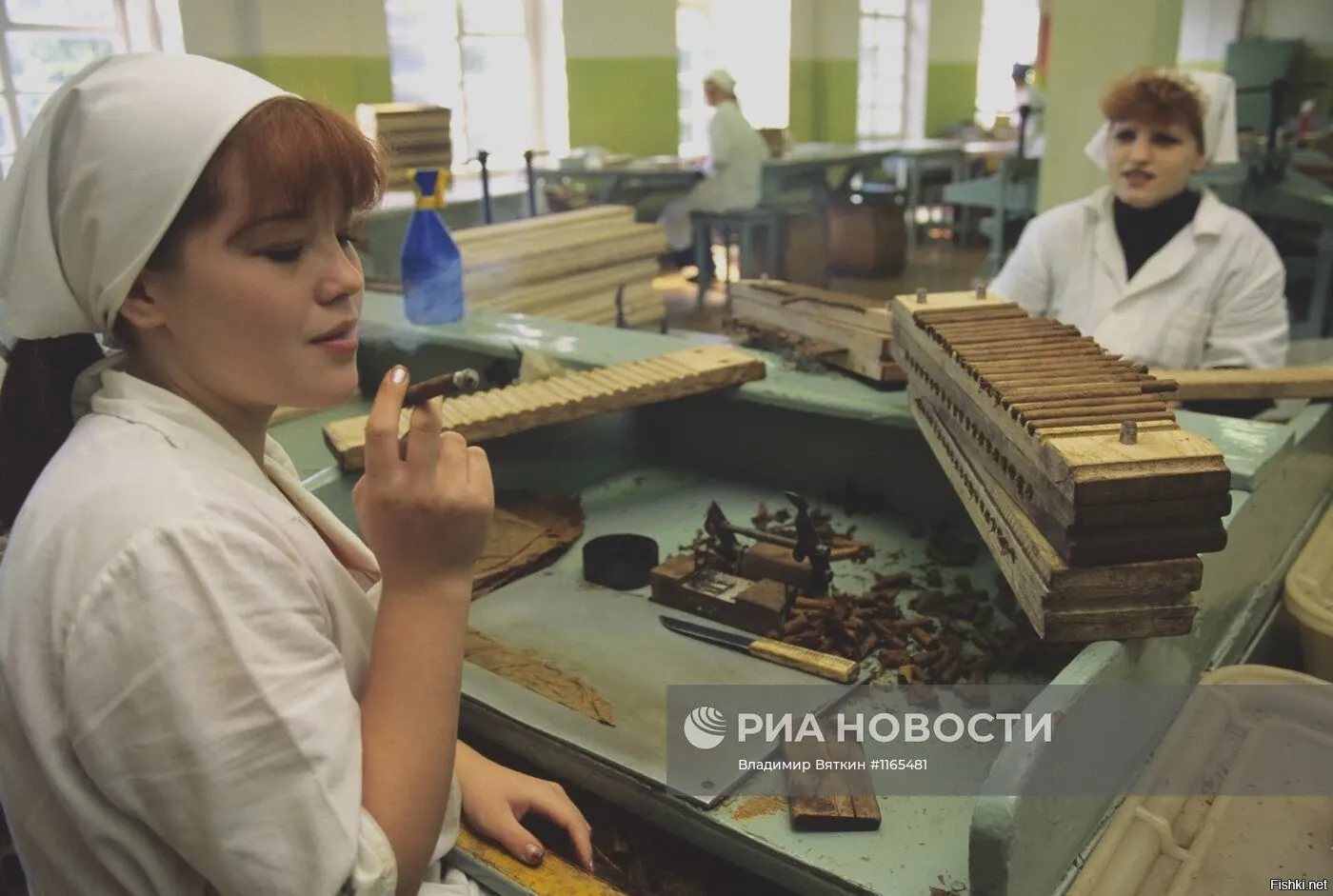 Купить Сайт Табачной Фабрики