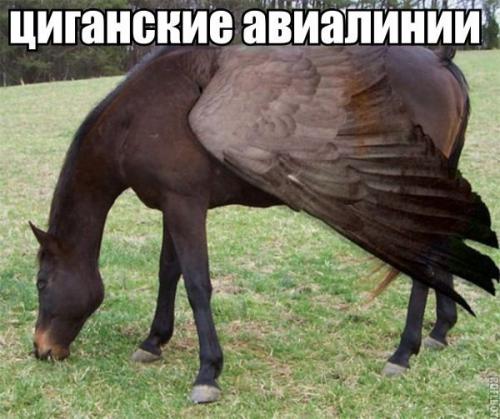 http://fishki.net/upload/users/349141/201312/28/tn/fc119870400ac921584fad562a8863af.jpg