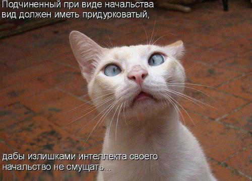 http://fishki.net/upload/users/373429/201312/27/tn/ee089a08cf61c0de9e25e0cb575f2c5f.jpg