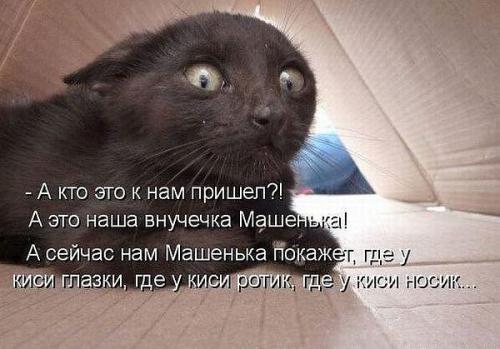http://fishki.net/upload/users/373429/201312/29/tn/a431055bd3cd6482b69d8b72127143d8.jpg