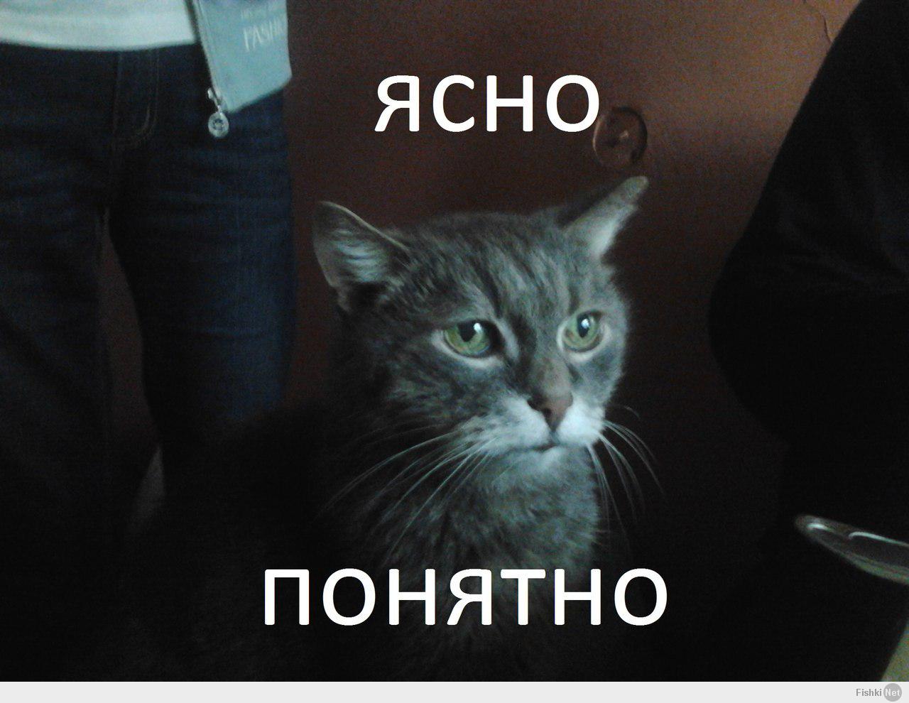 Картинка прикол понятно