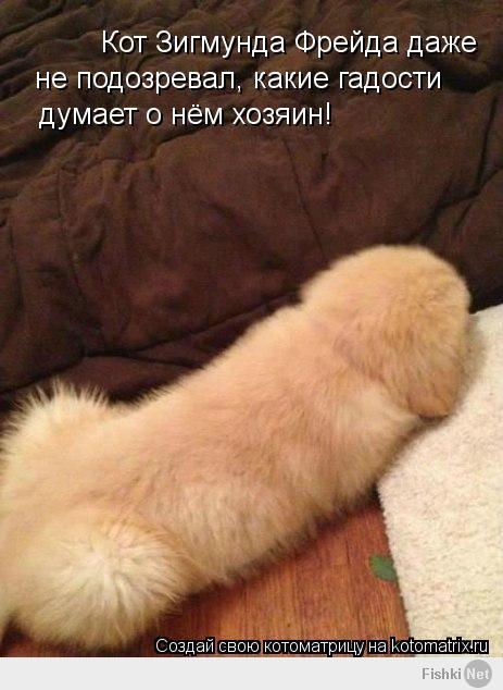 http://fishki.net/upload/users/397565/201403/09/tn/c486acfcd305f18daeed082c9e666cfe.jpg