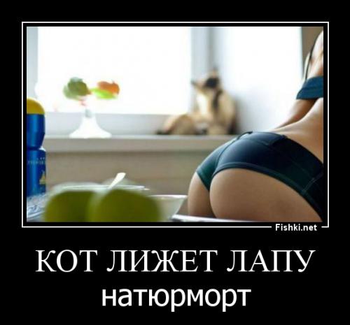 1a9fe28d95c646070c6c8e2efa78571e.jpg